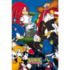 Sonic vs Dr. Eggman Poster (Backed)