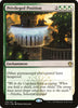 Privileged Position - Guilds of Ravnica: Guild Kits - #116/127