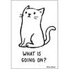 "What is going on?" Magnet