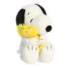 Snoopy & Woodstock - Big Hugs 12" Plush