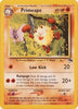 Primeape - Southern Islands #18/18