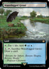 Waterlogged Grove (Foil) (Extended Art) - Universes Beyond: Doctor Who - 0534
