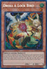 Droll & Lock Bird (Alternate Art) (Secret Rare) - 25th Anniversary Rarity Collection II RA02 - EN006