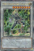 PSY-Framelord Omega (1st Edition) (Quarter Century Secret Rare) - 25th Anniversary Rarity Collection II (RA02-EN028)