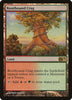Rootbound Crag - Magic 2013 - #228/249