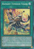 Radiant Typhoon Vision (1st Edition) (PCR) - Rarity Collection 5 - RA05-EN075