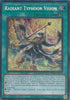 Radiant Typhoon Vision (Secret Rare) - Rarity Collection 5 (RA05)