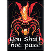 Lord of the Rings - You Shall Not Pass Magnet