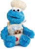 Sesame Street - Teach Me Cookie Monster 15-Inch (OOS)