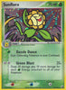 Sunflora (Holo Rare) - 16/115 - Unseen Forces