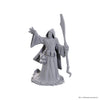 Dungeons & Dragons: Nolzur's Marvelous Unpainted Miniature - W25 Star Spawn Larva Mage