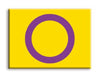 Pride Flags - Intersex Magnet (OOS)