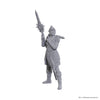 D&D Nolzur's Marvelous Unpainted Minis: Baldur's Gate 3 - Lae'zel & Shadowheart (Special Edition)