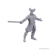 D&D Nolzur's Marvelous Unpainted Minis: Baldur's Gate 3 - Will & Karlach (Special Edition)