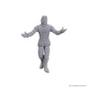 D&D Nolzur's Marvelous Unpainted Minis: Baldur's Gate 3 - Sarevok Anchev & Raphael (Special Edition)