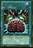 Brain Control - Gold Series 2008 - GLD1-EN033