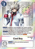 Cool Boy - X Record - BT9-092