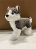 Husky 8" Plush