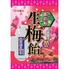 Ribon Hard Candy Fresh Plum Flavor - 3.2oz Peg Bag
