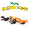 Racing Wiener Dogs (SNG24)