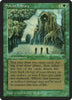 (DMG) Sylvan Library - Legends
