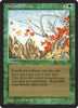 Untamed Wilds - Legends