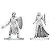 Dungeons & Dragons: Nolzur's Marvelous Unpainted Miniature - W29 Black Gauntlet & Zhentilar Paladin of Bane