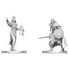 Dungeons & Dragons: Nolzur's Marvelous Unpainted Miniature - W29 Drow Elite Warrior & Drow Priestess of Lolth