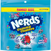 Nerds Very Berry Gummy Clusters 18.5oz Stand Up Bag (SNG5)