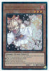 Ash Blossom & Joyous Spring (1st Edition) (Prismatic Ultimate Rare) - 25th Anniversary Rarity Collection - RA01-EN008