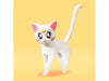 Sailor Moon: Sailor Venus (Animation Color Edition) "Pretty Guardian Sailor Moon", S.H. Figuarts