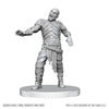 Dungeons & Dragons: Nolzur's Marvelous Unpainted Miniature - W28 Swarm of Rot Grubs and Rot Grub Victim