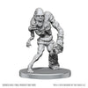 Dungeons & Dragons: Nolzur's Marvelous Unpainted Miniature - W28 Rutterkin and Maw Demon