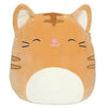 Squishmallow - Nathan the Tabby Cat 8"