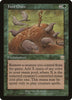 Food Chain - Mercadian Masques #246/350