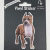 Pit Bull Brindle, Vinyl Sticker