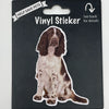 Springer Spaniel, Vinyl Sticker (OOS)