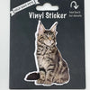 Maine Coon, Vinyl Sticker
