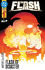 The Flash #33