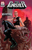 The Punisher #1