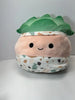 Squishmallow - Abena the Adorable Succulent 10”  (DISC)