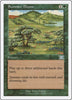 Summer Bloom - Classic Sixth Edition #255/350