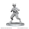 Dungeons & Dragons: Nolzur's Marvelous Unpainted Miniature - W28 Satyr and Dryad
