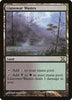 Llanowar Wastes - (LP) 10th Edition #355/383