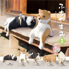 Playful Hanging Shiba Inu - Blind Box (SNG10)