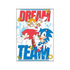 Sonic Dream Team Magnet - Sweets and Geeks